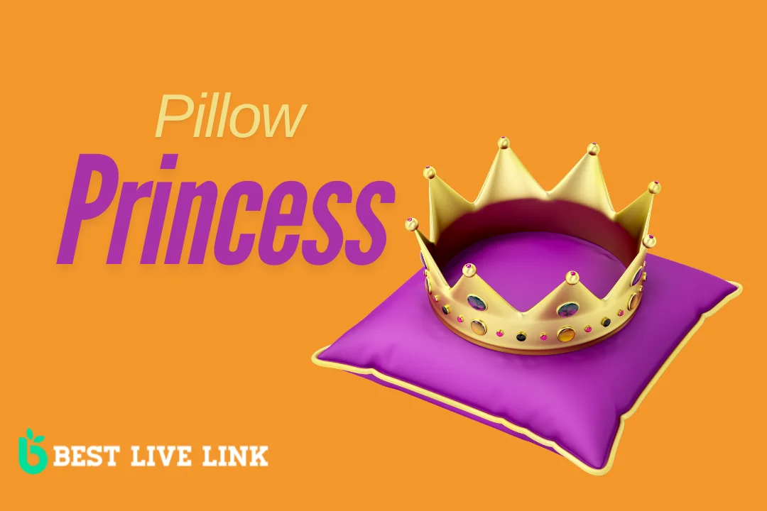 Pillow Princess